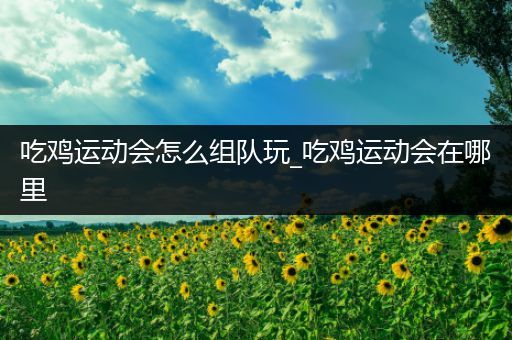 吃鸡运动会怎么组队玩_吃鸡运动会在哪里