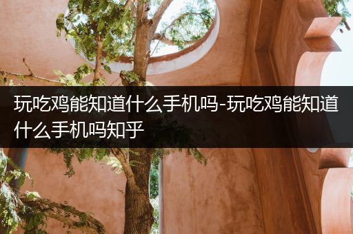 玩吃鸡能知道什么手机吗-玩吃鸡能知道什么手机吗知乎