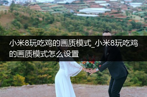 小米8玩吃鸡的画质模式_小米8玩吃鸡的画质模式怎么设置