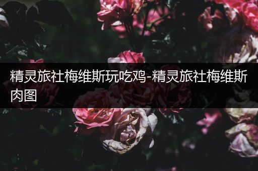 精灵旅社梅维斯玩吃鸡-精灵旅社梅维斯肉图