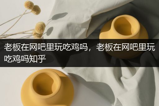老板在网吧里玩吃鸡吗，老板在网吧里玩吃鸡吗知乎