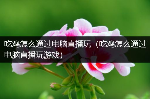 吃鸡怎么通过电脑直播玩（吃鸡怎么通过电脑直播玩游戏）