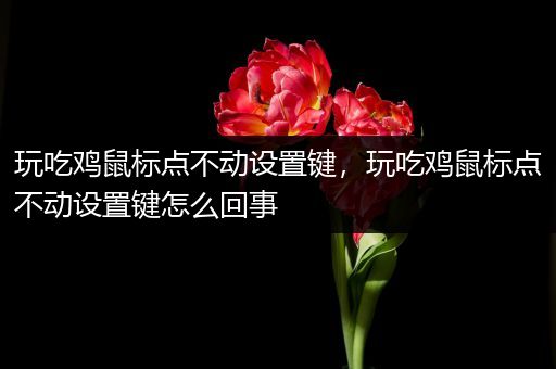 玩吃鸡鼠标点不动设置键，玩吃鸡鼠标点不动设置键怎么回事