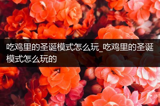 吃鸡里的圣诞模式怎么玩_吃鸡里的圣诞模式怎么玩的