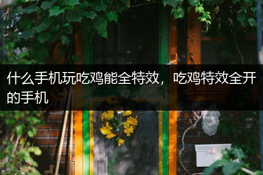 什么手机玩吃鸡能全特效，吃鸡特效全开的手机