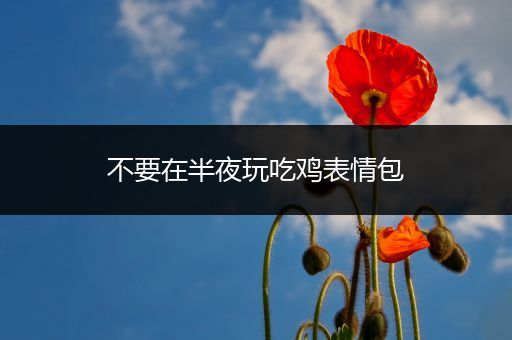不要在半夜玩吃鸡表情包