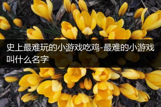 史上最难玩的小游戏吃鸡-最难的小游戏叫什么名字