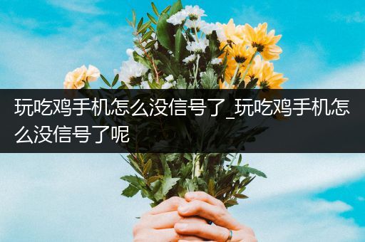 玩吃鸡手机怎么没信号了_玩吃鸡手机怎么没信号了呢