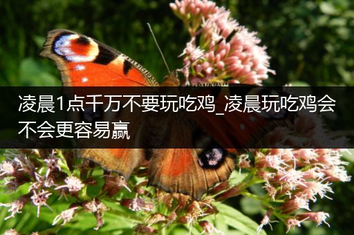 凌晨1点千万不要玩吃鸡_凌晨玩吃鸡会不会更容易赢