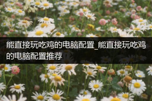 能直接玩吃鸡的电脑配置_能直接玩吃鸡的电脑配置推荐