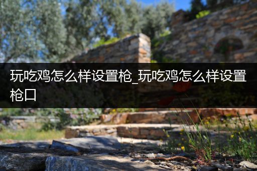 玩吃鸡怎么样设置枪_玩吃鸡怎么样设置枪口