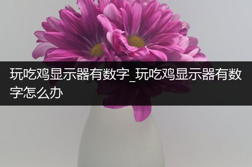 玩吃鸡显示器有数字_玩吃鸡显示器有数字怎么办