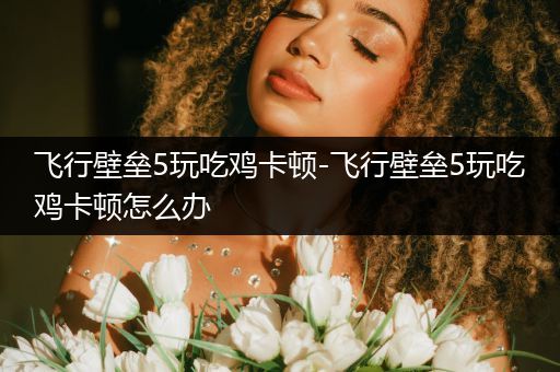 飞行壁垒5玩吃鸡卡顿-飞行壁垒5玩吃鸡卡顿怎么办