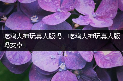吃鸡大神玩真人版吗，吃鸡大神玩真人版吗安卓