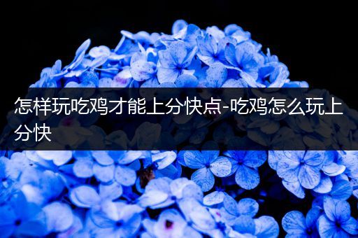 怎样玩吃鸡才能上分快点-吃鸡怎么玩上分快