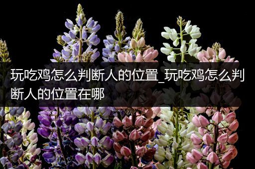 玩吃鸡怎么判断人的位置_玩吃鸡怎么判断人的位置在哪