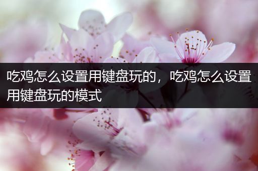 吃鸡怎么设置用键盘玩的，吃鸡怎么设置用键盘玩的模式