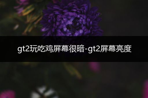 gt2玩吃鸡屏幕很暗-gt2屏幕亮度