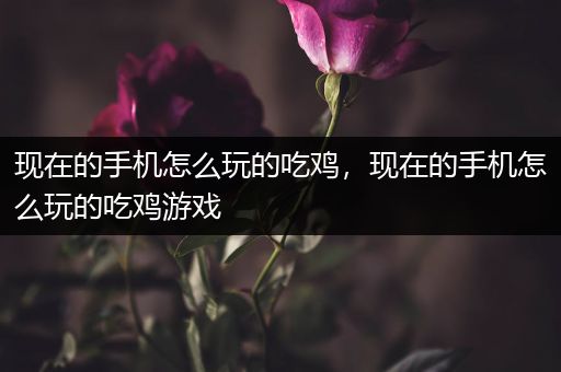 现在的手机怎么玩的吃鸡，现在的手机怎么玩的吃鸡游戏