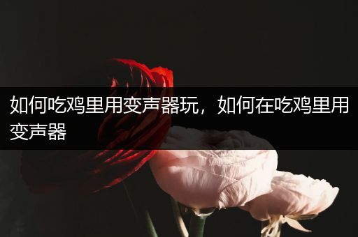 如何吃鸡里用变声器玩，如何在吃鸡里用变声器