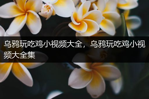 乌鸦玩吃鸡小视频大全，乌鸦玩吃鸡小视频大全集