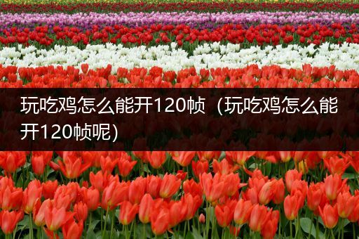 玩吃鸡怎么能开120帧（玩吃鸡怎么能开120帧呢）