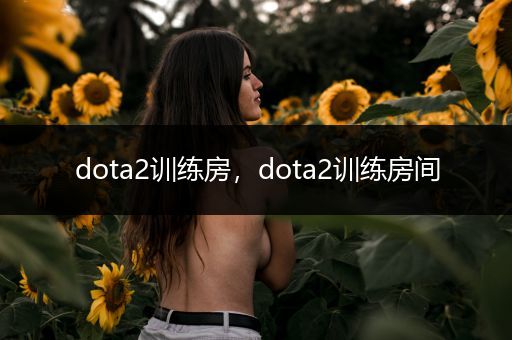 dota2训练房，dota2训练房间