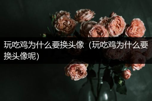 玩吃鸡为什么要换头像（玩吃鸡为什么要换头像呢）