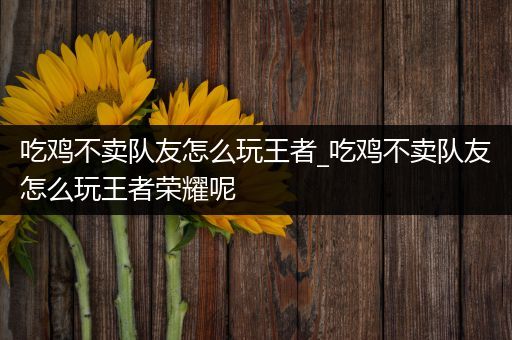 吃鸡不卖队友怎么玩王者_吃鸡不卖队友怎么玩王者荣耀呢