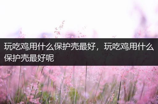 玩吃鸡用什么保护壳最好，玩吃鸡用什么保护壳最好呢