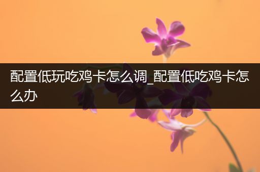 配置低玩吃鸡卡怎么调_配置低吃鸡卡怎么办