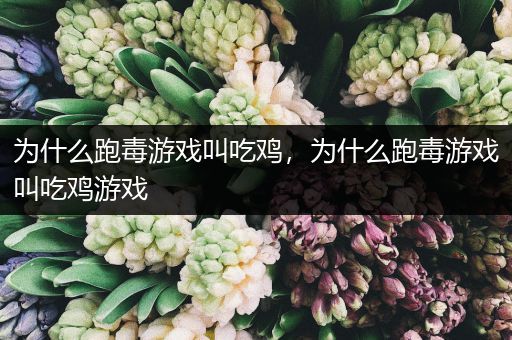 为什么跑毒游戏叫吃鸡，为什么跑毒游戏叫吃鸡游戏
