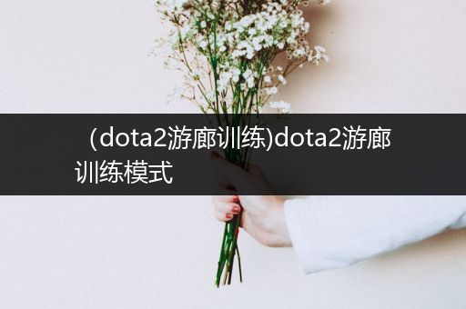 （dota2游廊训练)dota2游廊训练模式