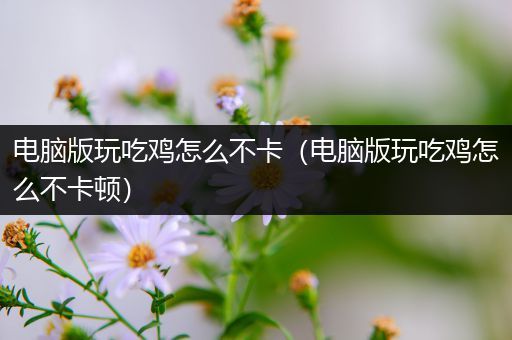 电脑版玩吃鸡怎么不卡（电脑版玩吃鸡怎么不卡顿）