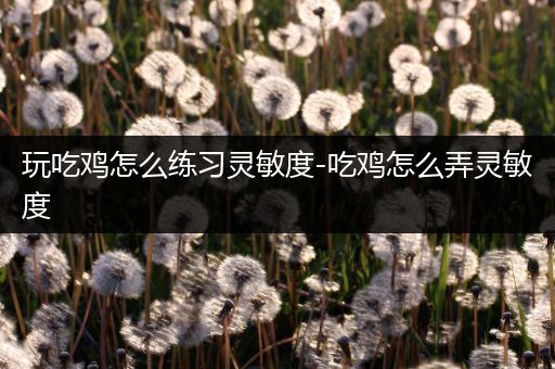 玩吃鸡怎么练习灵敏度-吃鸡怎么弄灵敏度