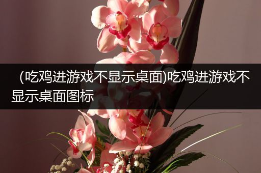 （吃鸡进游戏不显示桌面)吃鸡进游戏不显示桌面图标