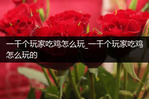 一千个玩家吃鸡怎么玩_一千个玩家吃鸡怎么玩的