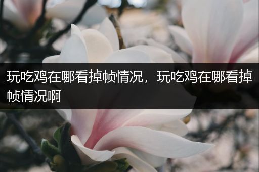 玩吃鸡在哪看掉帧情况，玩吃鸡在哪看掉帧情况啊