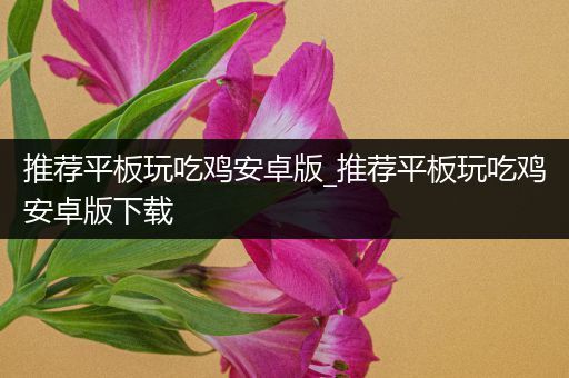 推荐平板玩吃鸡安卓版_推荐平板玩吃鸡安卓版下载