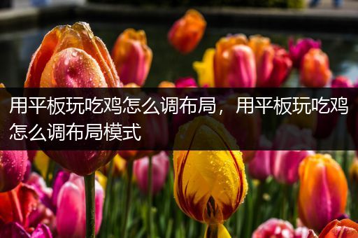 用平板玩吃鸡怎么调布局，用平板玩吃鸡怎么调布局模式