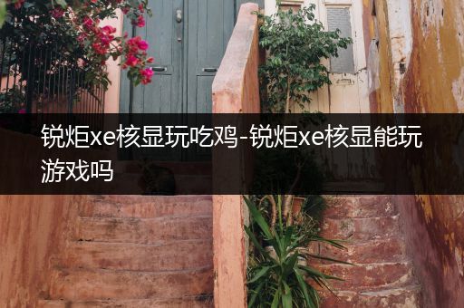 锐炬xe核显玩吃鸡-锐炬xe核显能玩游戏吗