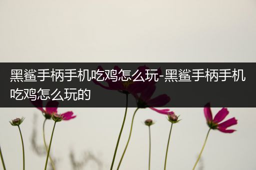 黑鲨手柄手机吃鸡怎么玩-黑鲨手柄手机吃鸡怎么玩的