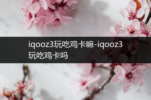 iqooz3玩吃鸡卡嘛-iqooz3玩吃鸡卡吗