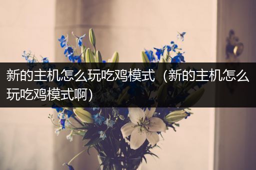 新的主机怎么玩吃鸡模式（新的主机怎么玩吃鸡模式啊）