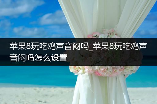苹果8玩吃鸡声音闷吗_苹果8玩吃鸡声音闷吗怎么设置