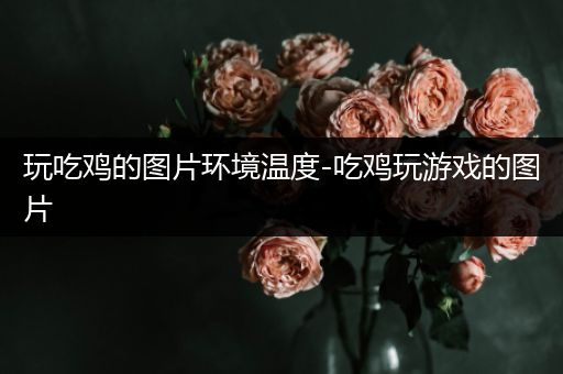 玩吃鸡的图片环境温度-吃鸡玩游戏的图片