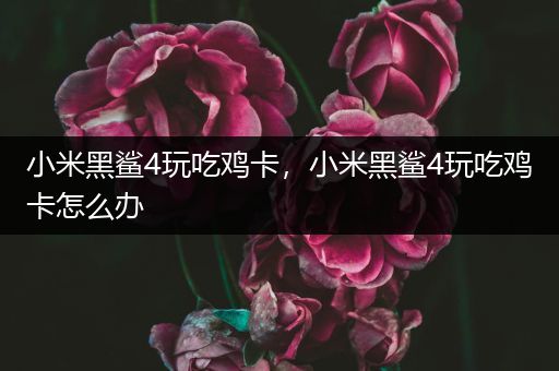 小米黑鲨4玩吃鸡卡，小米黑鲨4玩吃鸡卡怎么办