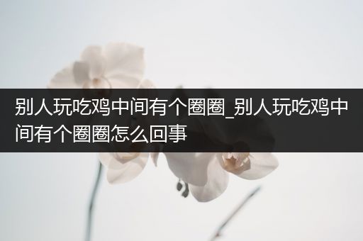 别人玩吃鸡中间有个圈圈_别人玩吃鸡中间有个圈圈怎么回事