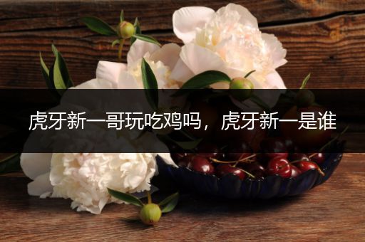 虎牙新一哥玩吃鸡吗，虎牙新一是谁