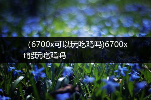 （6700x可以玩吃鸡吗)6700xt能玩吃鸡吗